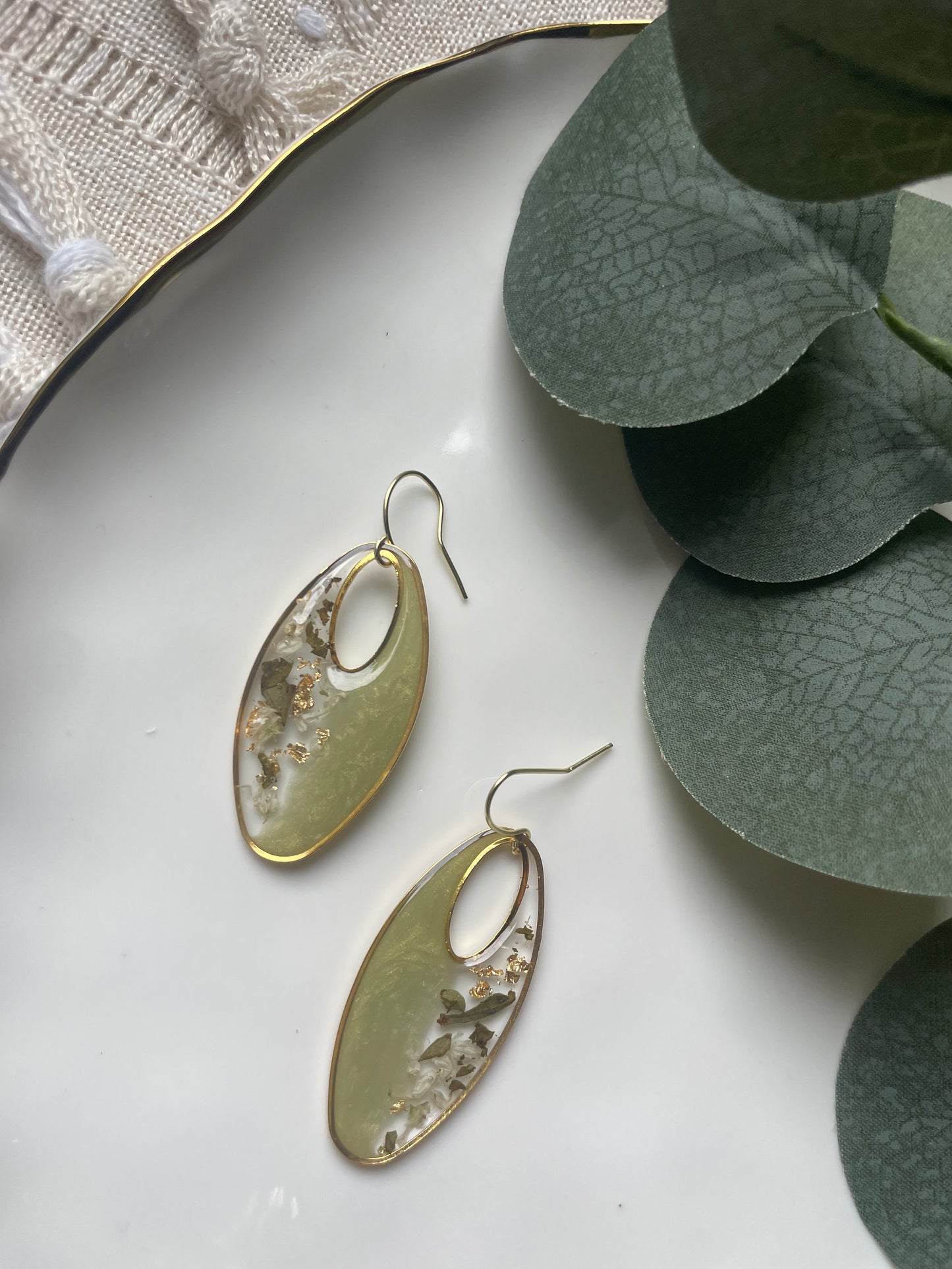 Harvest Olive Collection