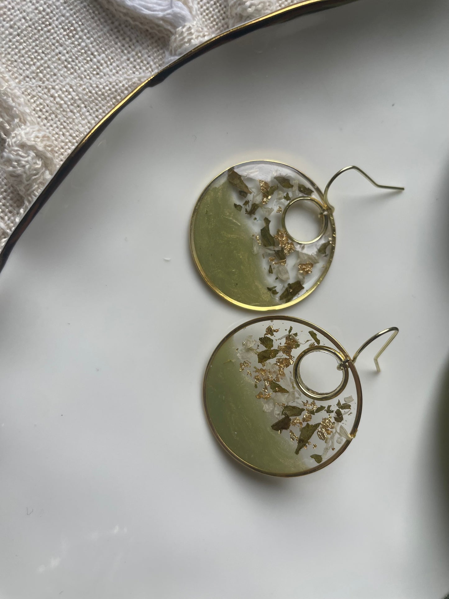 Harvest Olive Collection