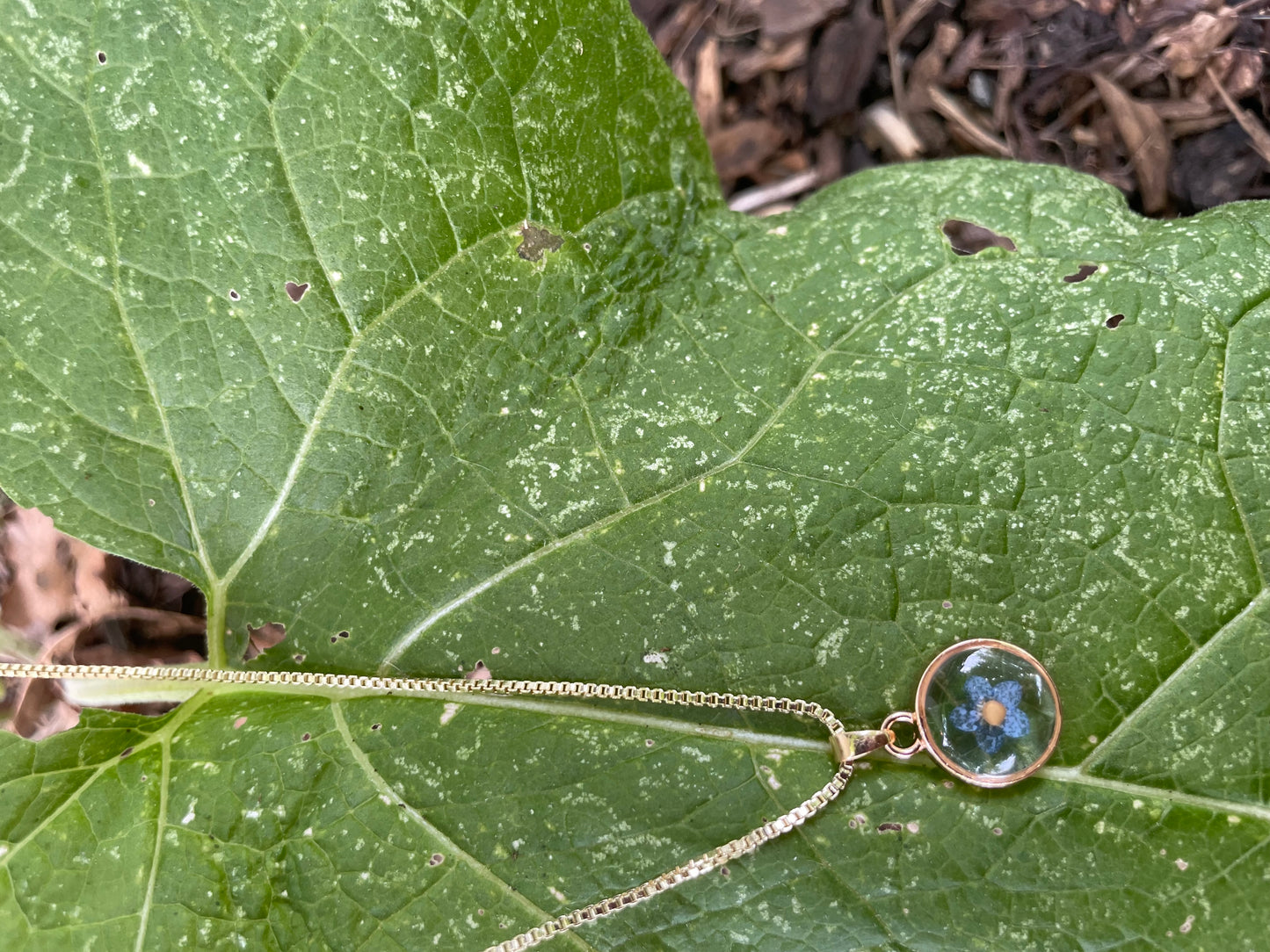 Forget Me Not Mustard Seed Necklace