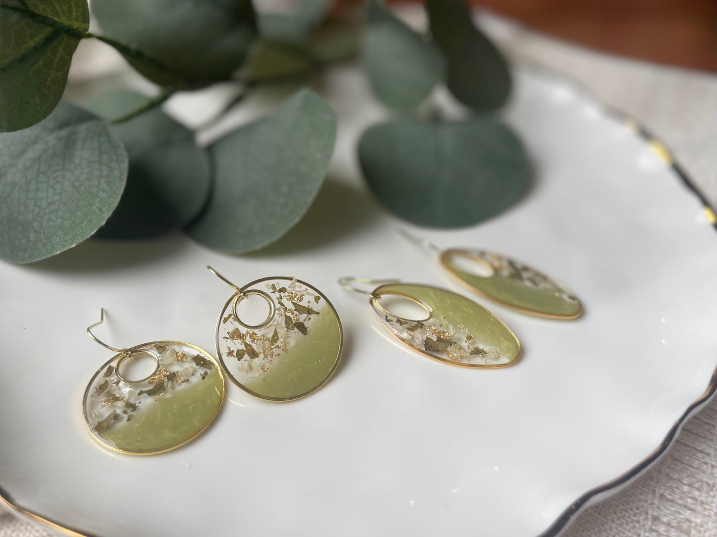 Harvest Olive Collection