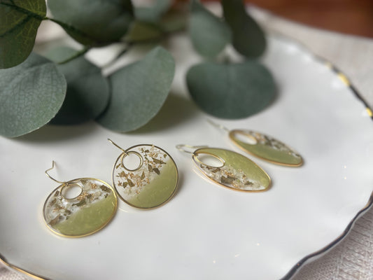 Harvest Olive Collection
